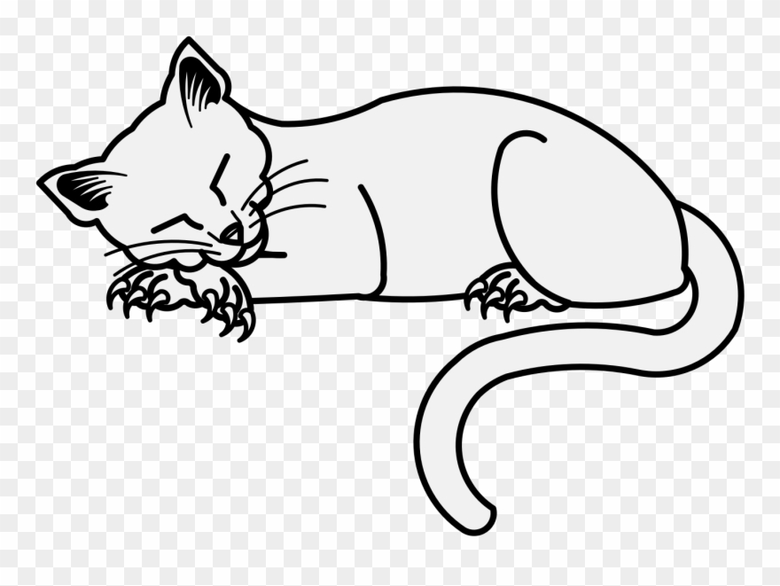 Details, Png - Kitten Clipart