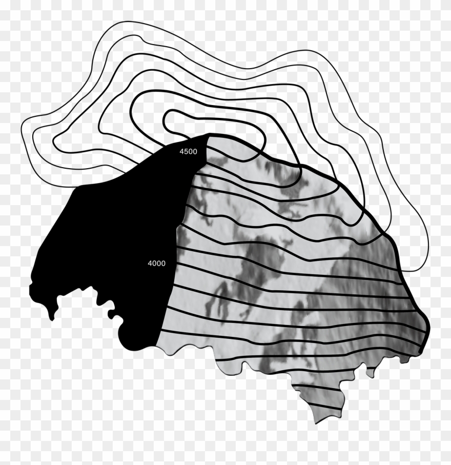 Liskamm - - Illustration Clipart