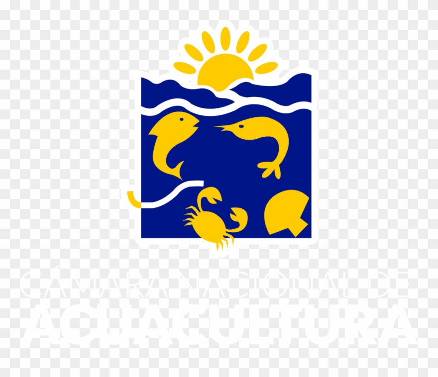 Camara Nacional De Acuacultura Clipart
