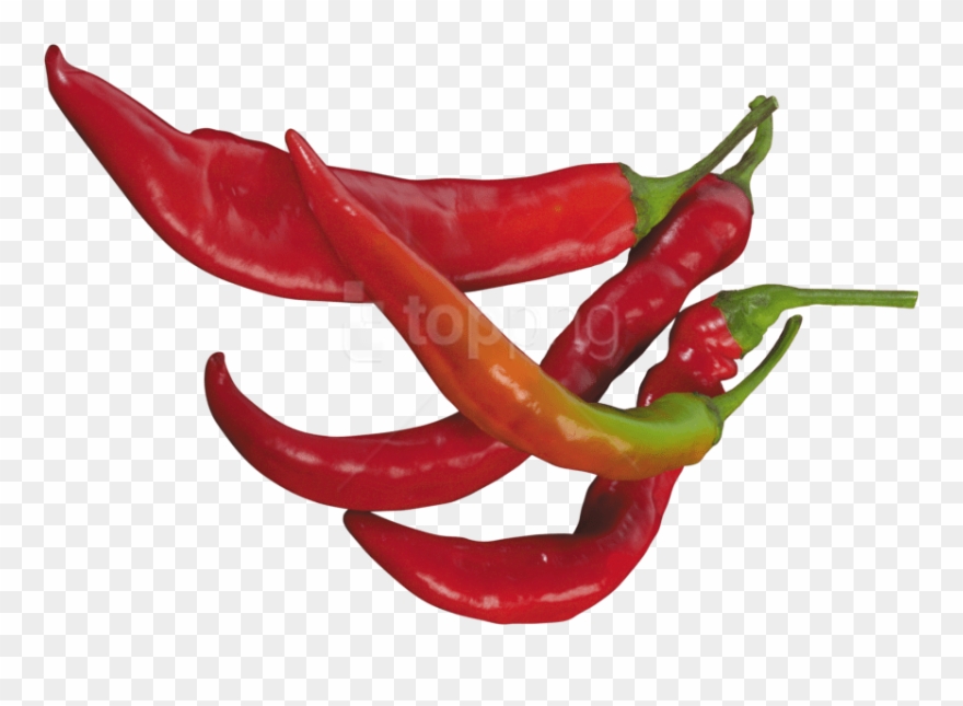 Free Png Download Red Pepper Png Images Background - Transparent Background Chili Pepper Transparent Clipart