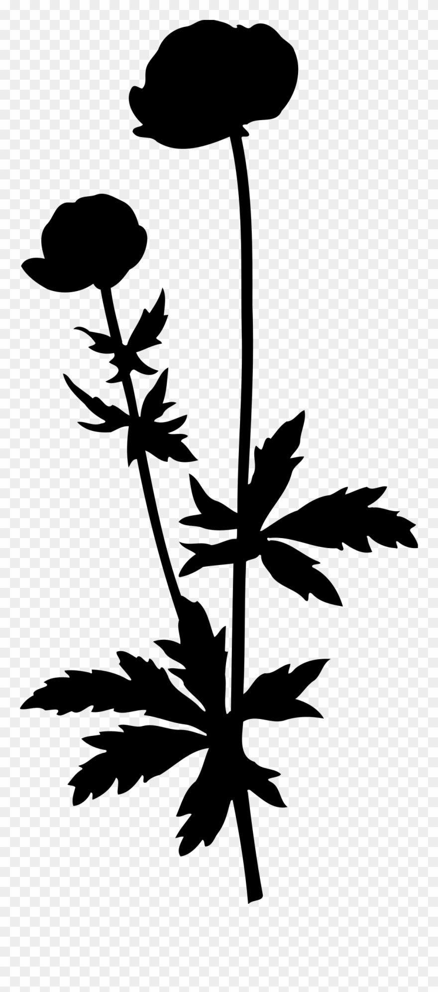 Big Image - Plant Silhouette Transparent Background Clipart