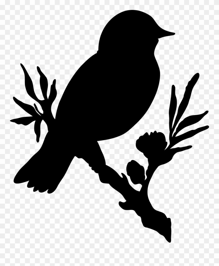 Bird, Branch, Flower, No Background, Wróbelek, Tree - Contoh Gambar Siluet Hewan Clipart
