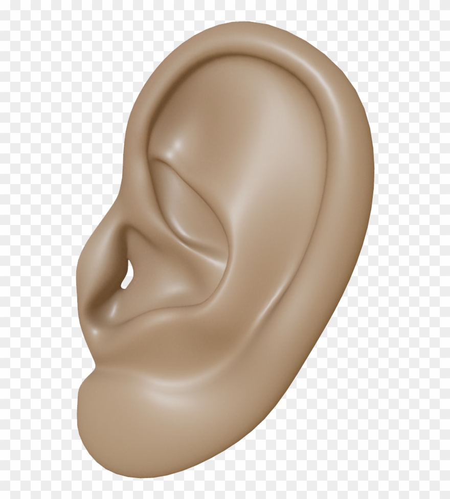 Ear - Brown Ear Transparent Clipart
