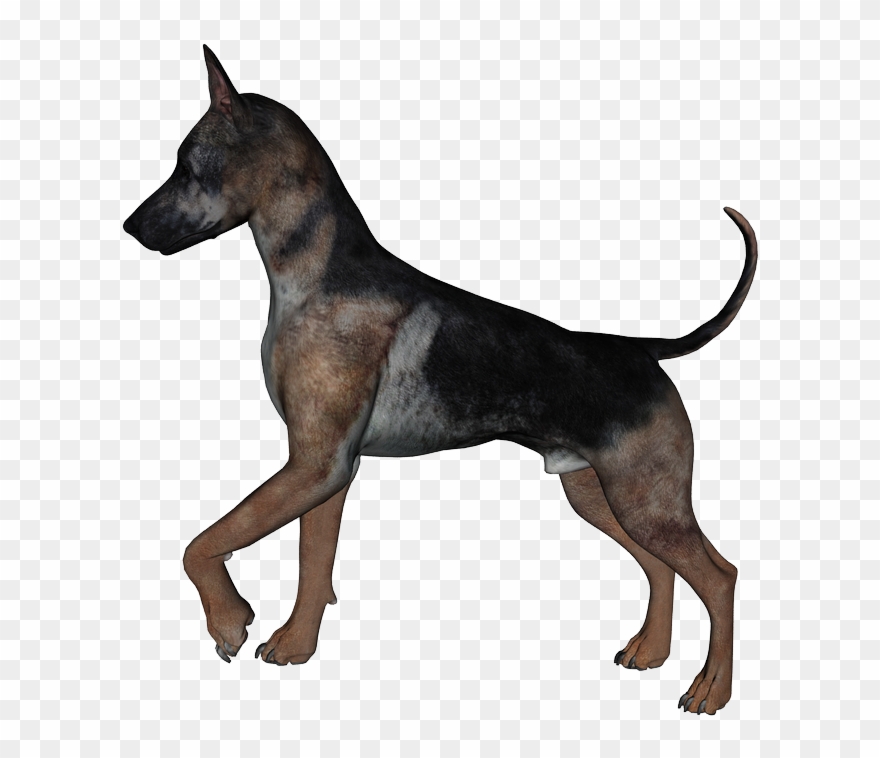 Free Downloads, Photoshop, Clip Art, Illustrations - Portable Network Graphics - Png Download