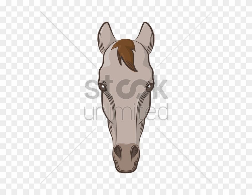Drawing Clipart Horse Drawing - Horse Face Drawing - Png Download