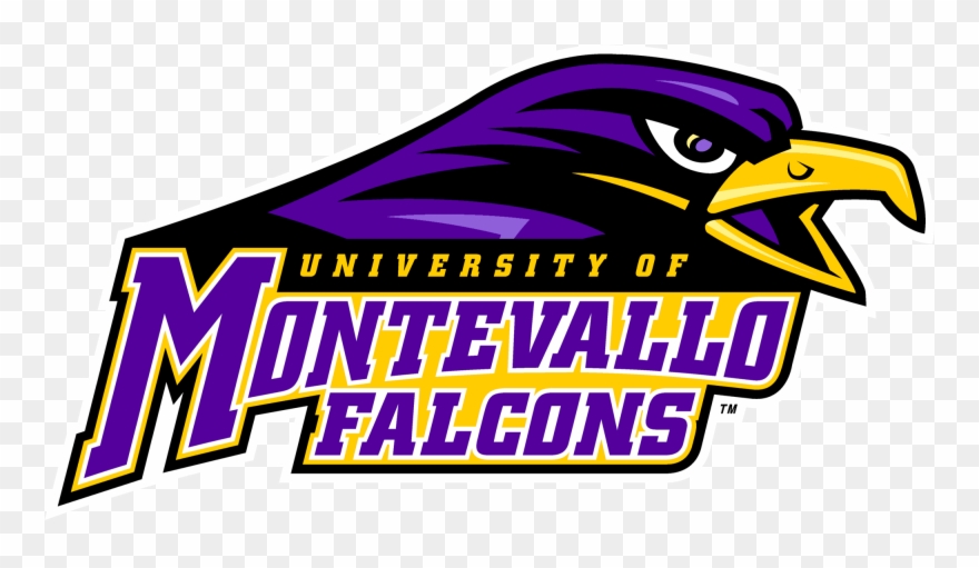 University Of Montevallo Athletics Logo Clipart