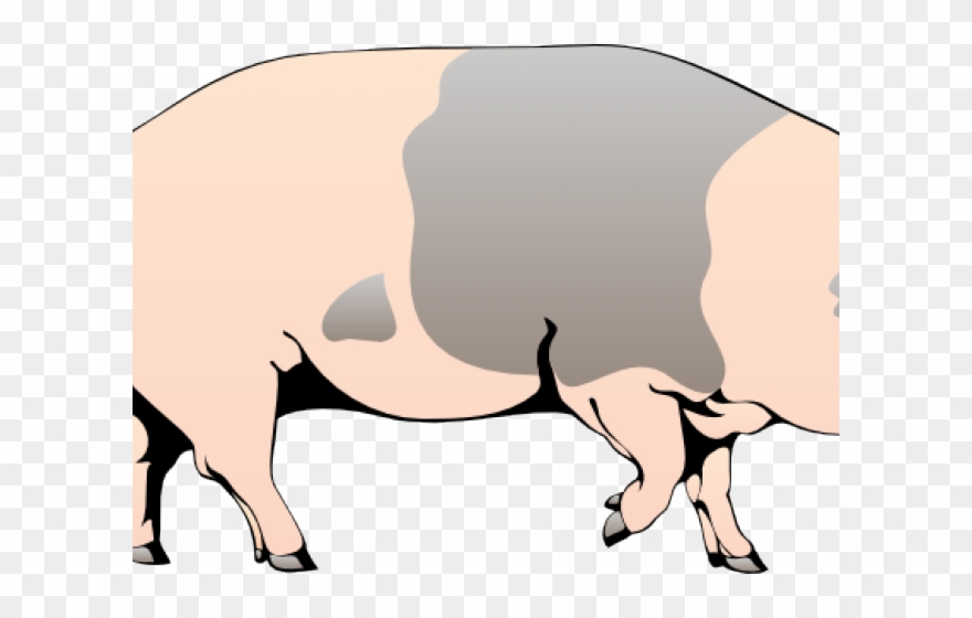 Pig Clipart Walking - Pig Clipart - Png Download
