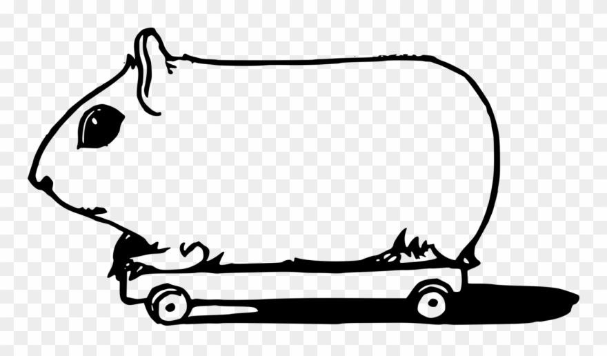 All Photo Png Clipart - Black And White Guinea Pig Clipart Transparent Png