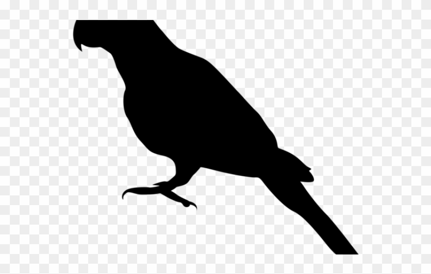Shadow Clipart Parrot - Parakeet Silhouette Png Transparent Png