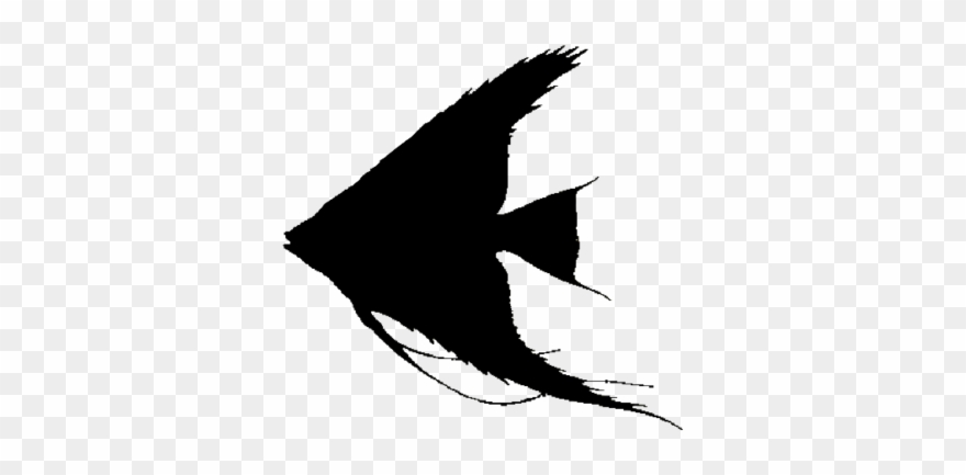 Show Pig Silhouette - Silhouette Clipart