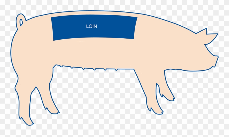 The Loin Roast Comes From The Area Of The Pig Between - Pork Loin Comes From What Part Clipart