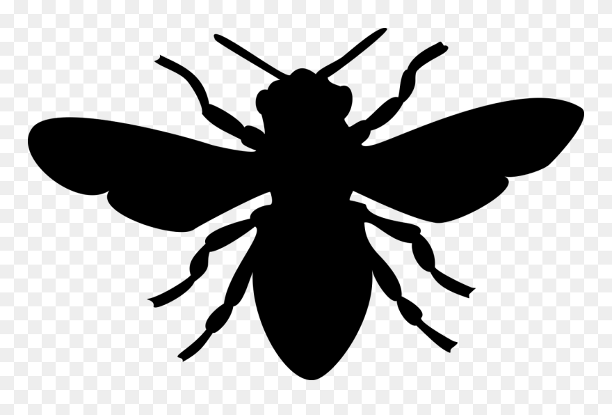 All Photo Png Clipart - Silhouette Bee Clipart Free Transparent Png