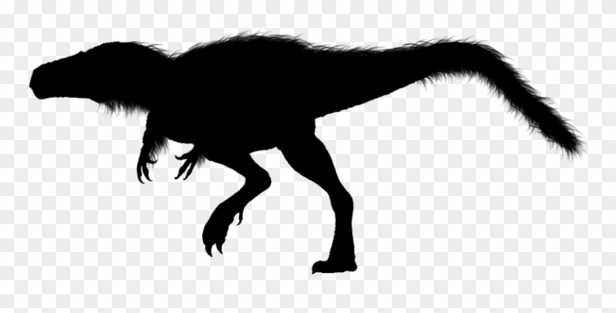 Show Pig Silhouette - Clip Art - Png Download