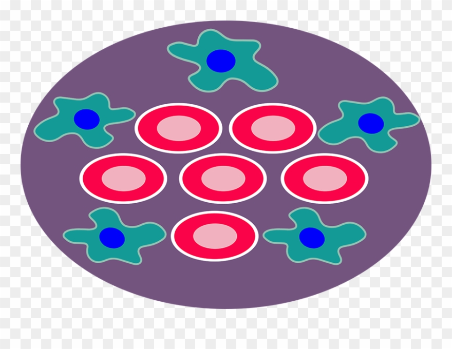 Png Freeuse Library Cancer Cell Clipart - Circle Transparent Png