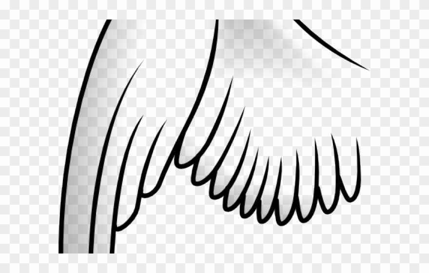Angel Wings No Background Clipart