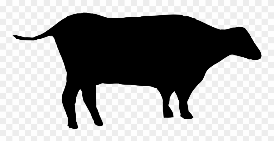All Photo Png Clipart - Cattle Transparent Png