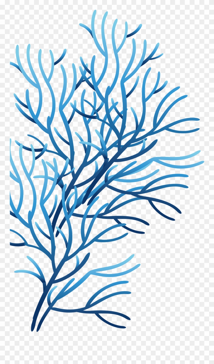 Clipart Library Coral Sea Clip Art - Coral Azul Png Transparent Png
