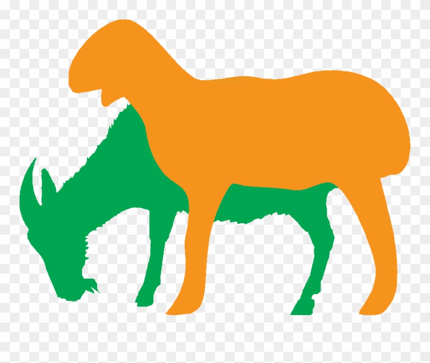 Reciprocal Program - Goat And Sheep Silhouette Clipart