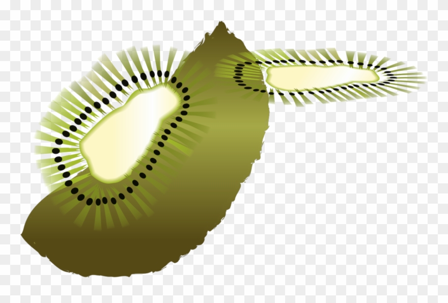 Kiwifruit Computer Icons Bird Coloring Book - Clip Art - Png Download