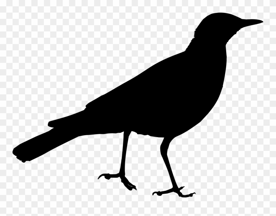 Big Image - Clipart Bird Silhouette - Png Download