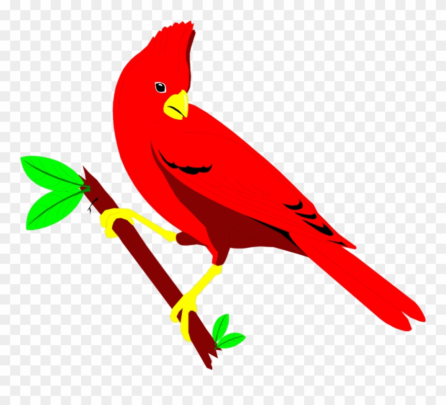 Cardinal Free Stock Photo Illustration Of A Red Cardinal - Clip Art Cardinal Bird Scene - Png Download