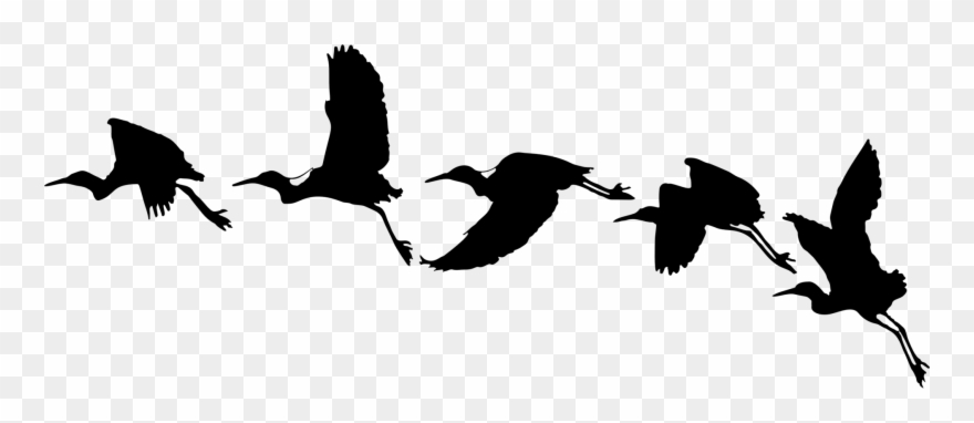 Flying Birds Silhouette - Bird Flying Vector Png Clipart