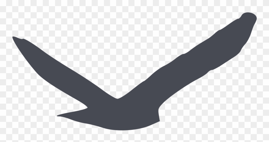 All Photo Png Clipart - Clipart Bird Silhouette Transparent Png