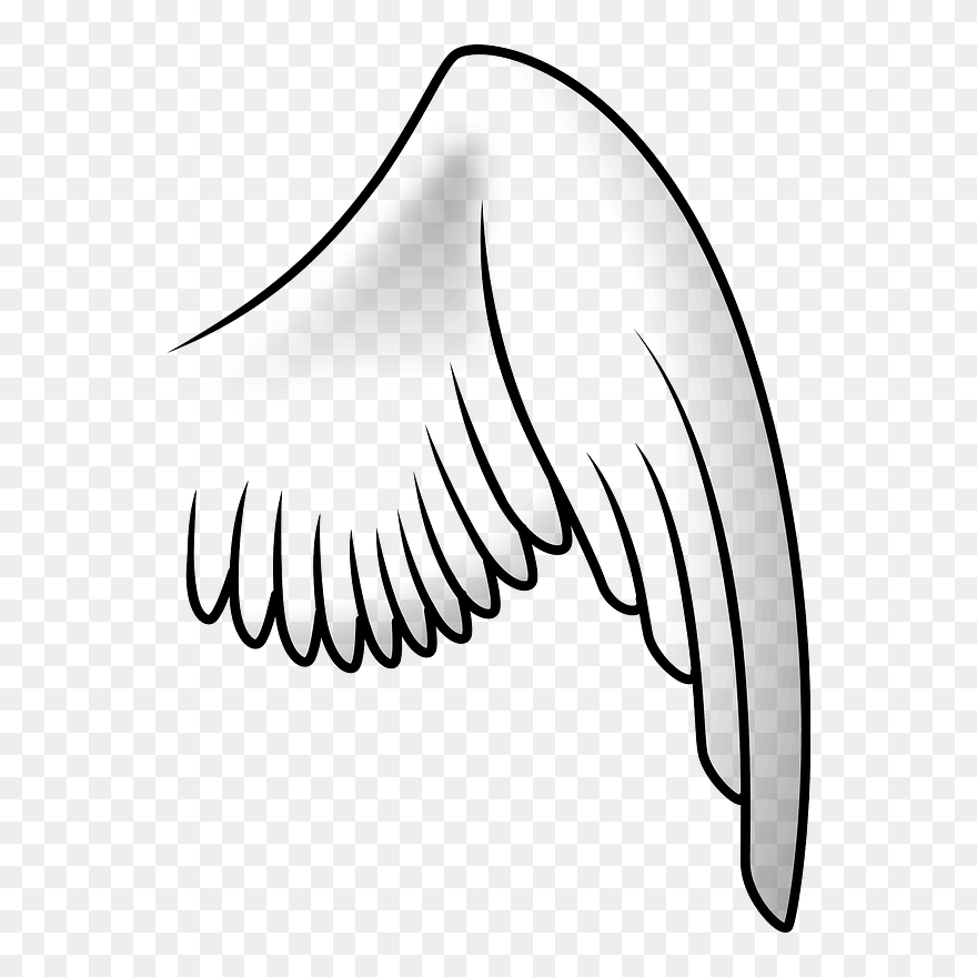 Drawing Angel Cartoon Bird - Bird Wing Clipart Black And White - Png Download
