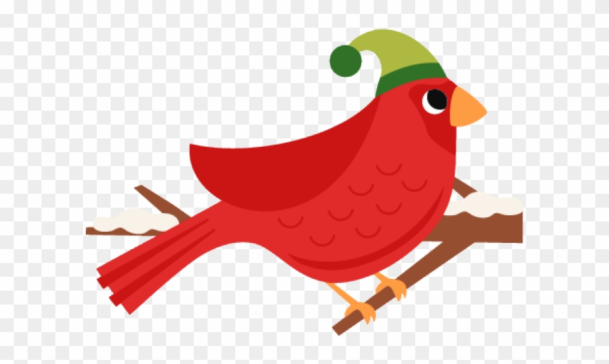 Christmas Bird Clip Art - Png Download