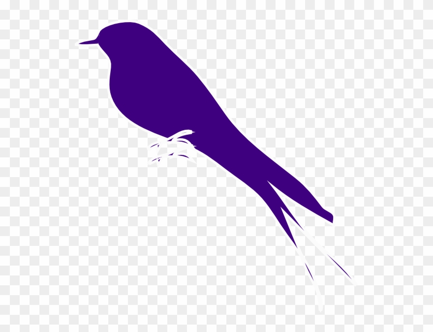 Purple Finch On A Branch Clip Art - Purple Finch Clipart - Png Download