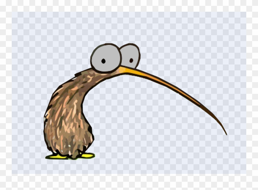 Kiwi Bird Clipart (#456464) - PinClipart