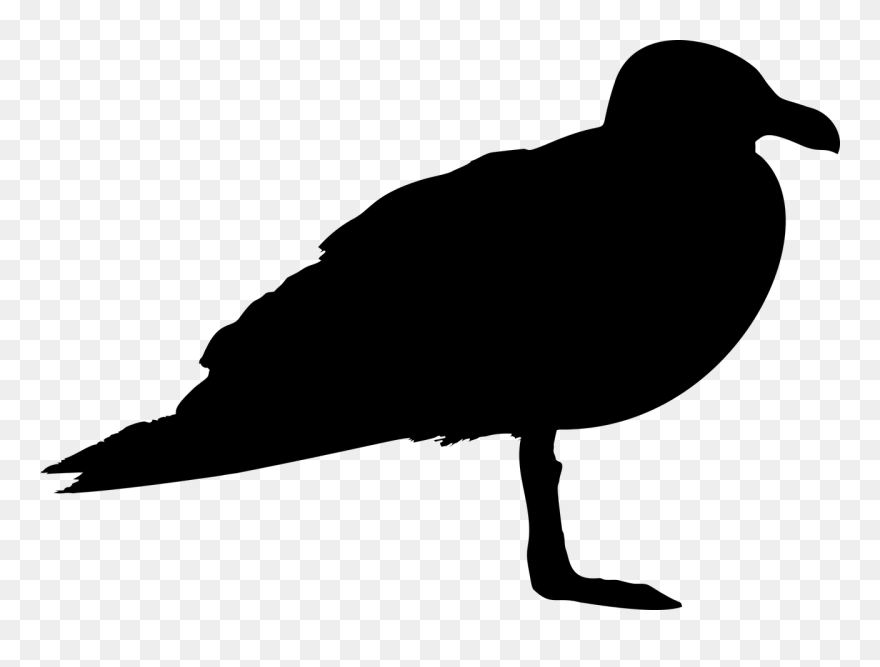 All Photo Png Clipart - Silhouette Of A Seagull Transparent Png