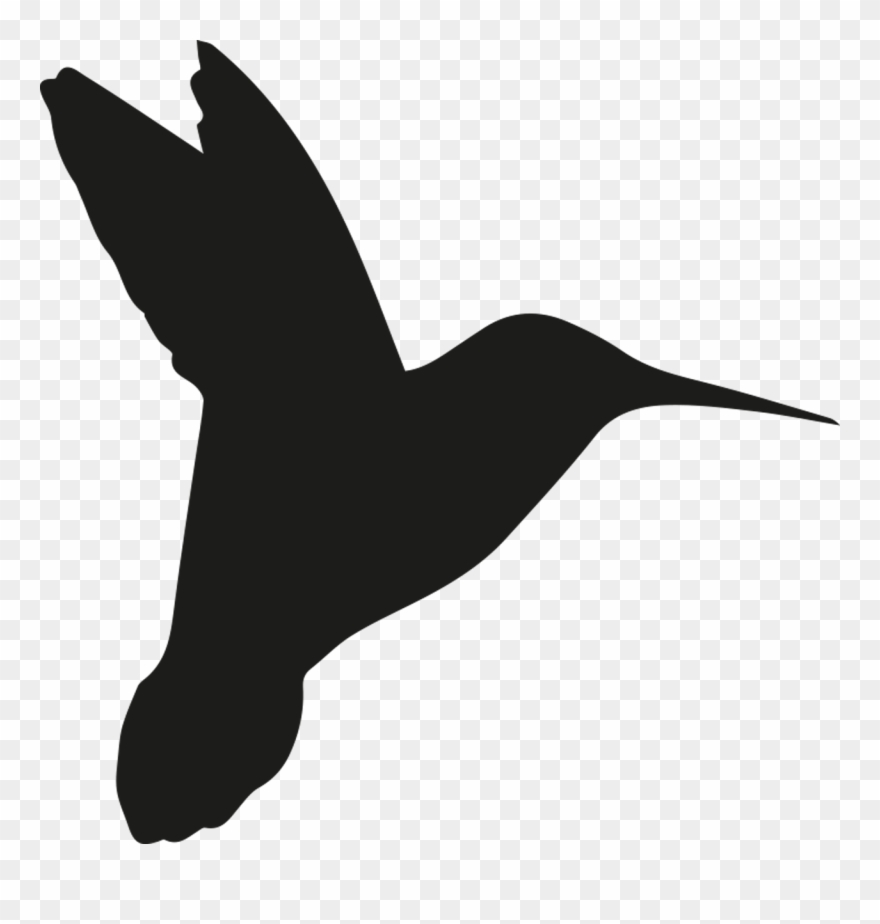 Silhouette De Colibri Clipart