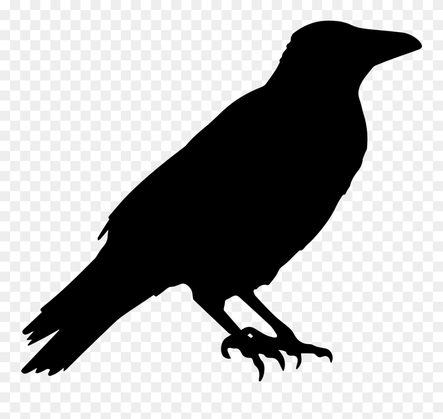 Crow Raven Animal - Halloween Black Crow Clipart