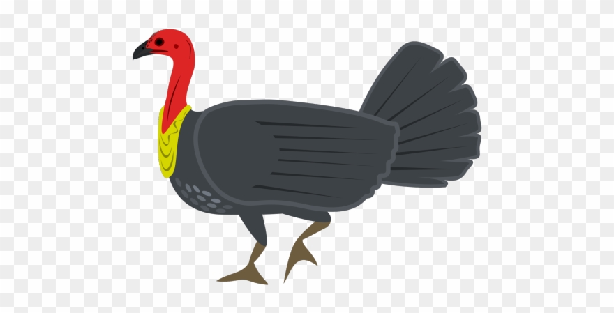 Turkey Bird Clipart Big Turkey - Australian Bush Turkey Clipart - Png Download