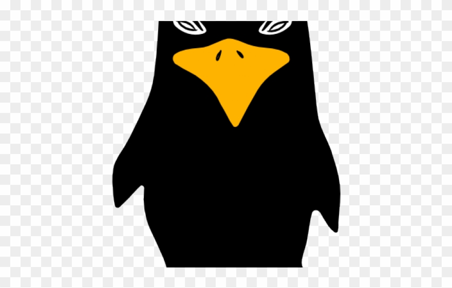 Blackbird Clipart - Cartoon Blackbird Transparent - Png Download