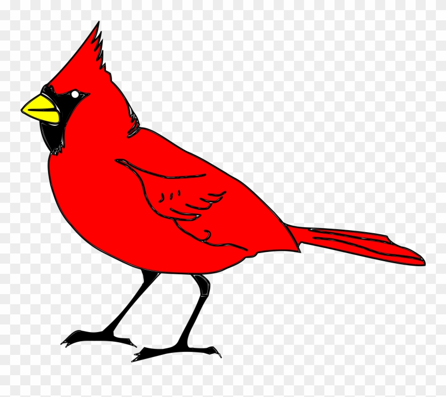 Big Image - Cardinal Clipart - Png Download