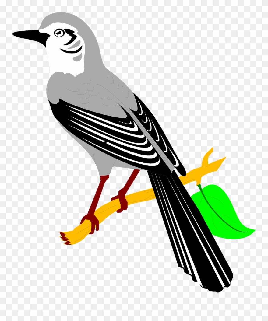 Mockingbird Clip Art At Vector Clip Art Png - Texas Mockingbird Clip Art Transparent Png