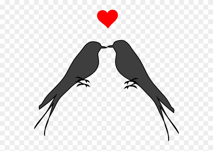 Clipart Love Birds Png Transparent Png