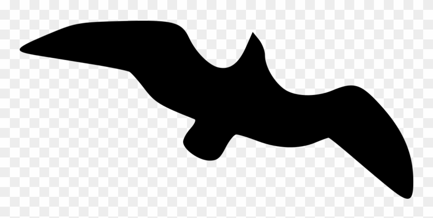 Gull Flying Clipart By Peileppe - Gaivota Silhueta Png Transparent Png