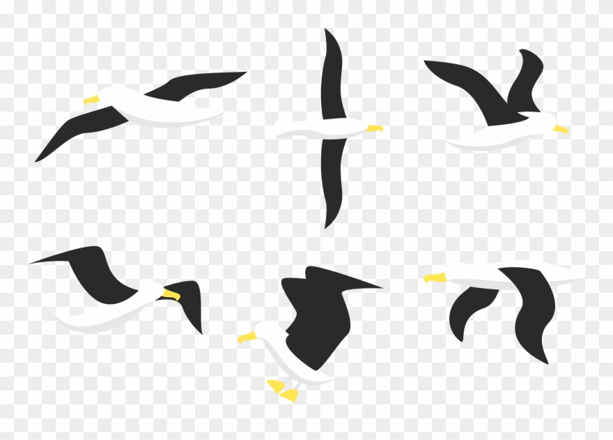 Picture Freeuse Download Penguin Bird Gulls Flight - Free Download Vector Albatross Clipart