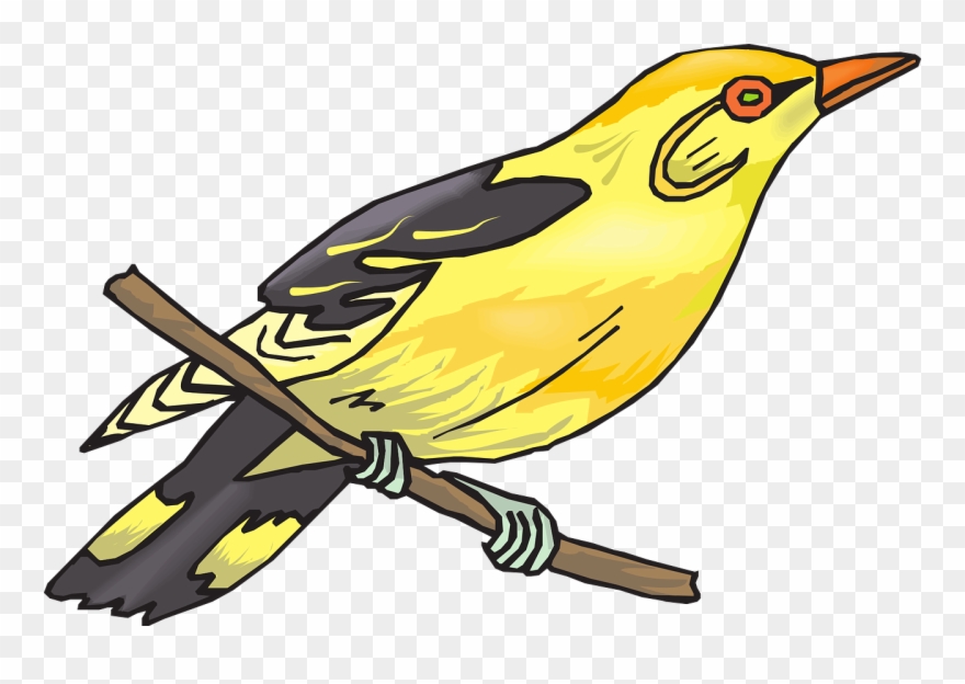 Golden - Finch Clip Art - Png Download