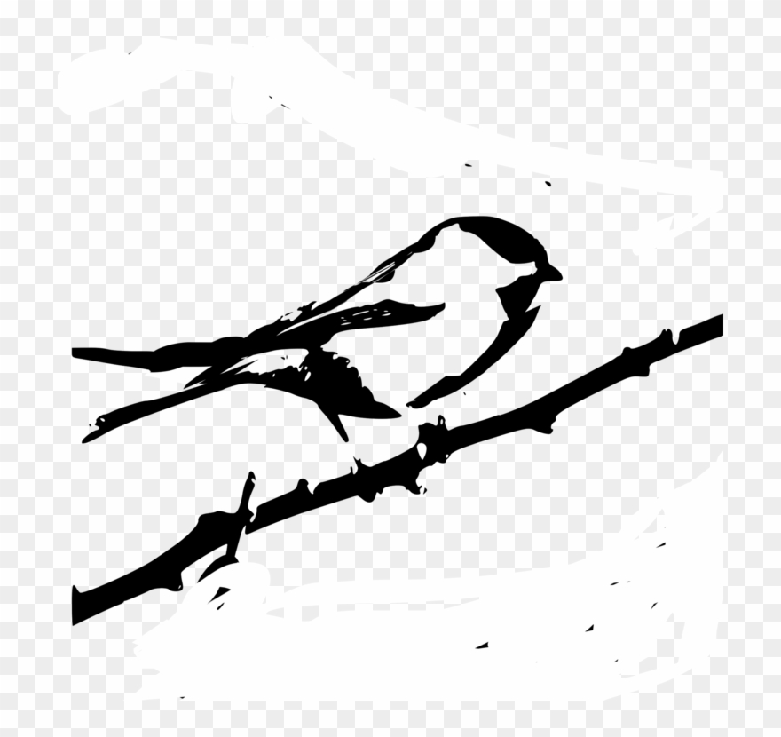 All Photo Png Clipart - Custom Chickadee Sketch Shower Curtain Transparent Png