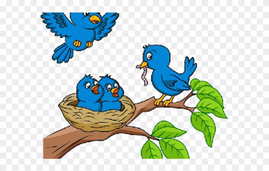 Cartoon Picture Birds In Nests Clipart