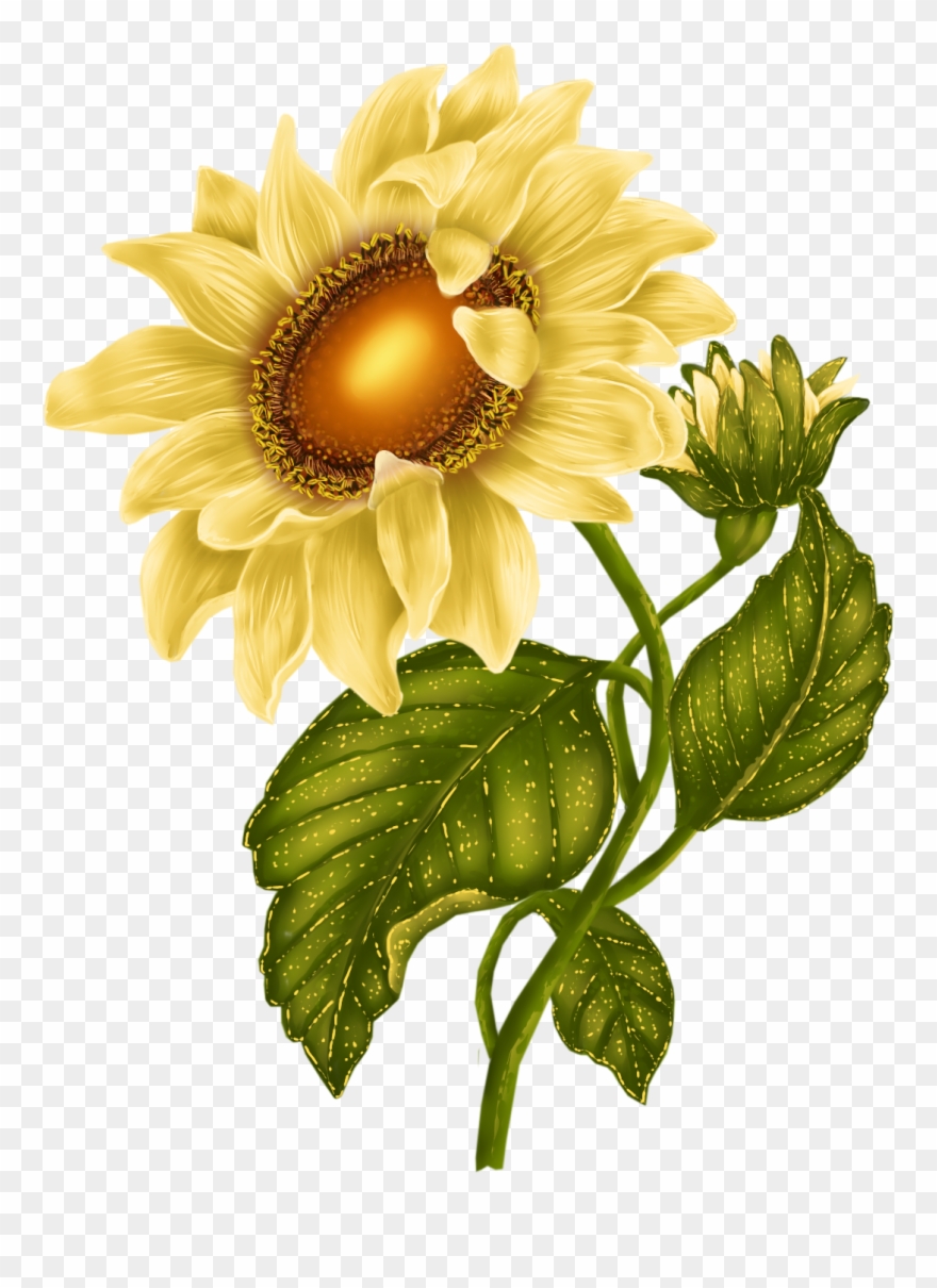 October Clipart October Flower Svg - Flowers Flores Clipart - Png Download