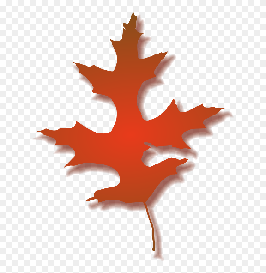 Book Now - Red Oak Leaf Clipart - Png Download