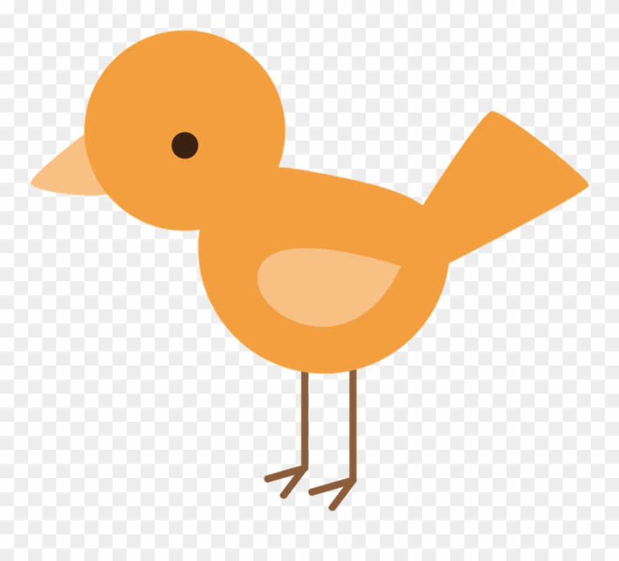 Floresta E Safari - Drawing Clipart