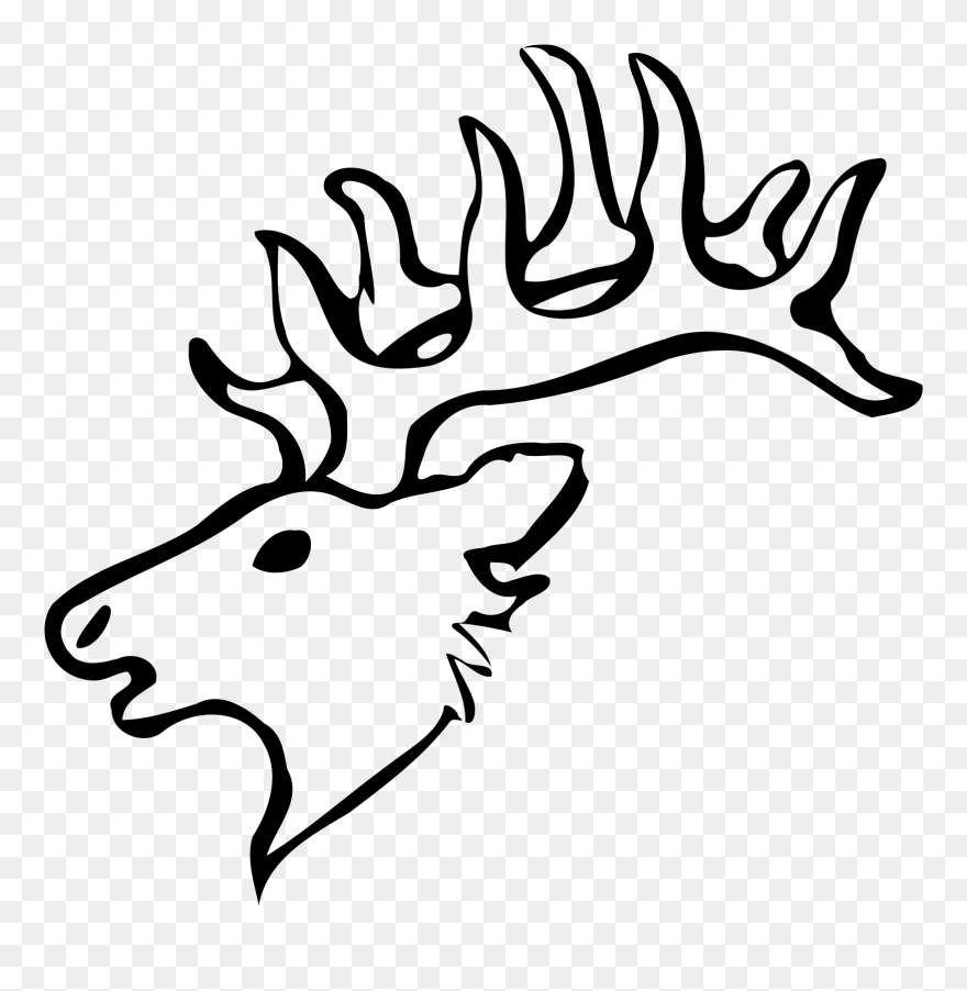 Elk White-tailed Deer Moose Drawing - Easy Elk Head Drawing Clipart