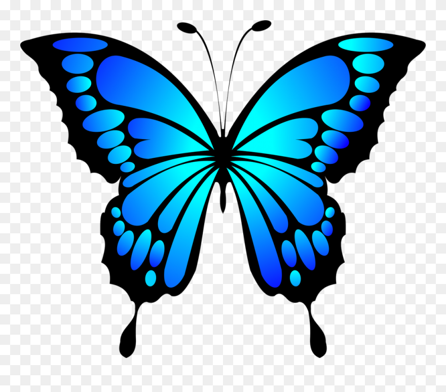Butterfly Insect Blue Morpho - Blue Butterfly Clipart
