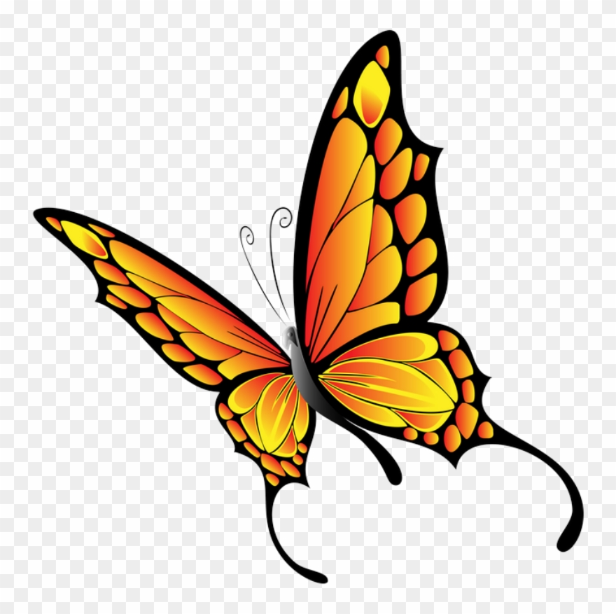 ‿✿⁀butterflies‿✿⁀ - Clip Art Minibeasts - Png Download